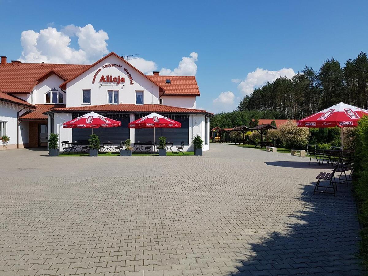 Centrum Turystyki Wiejskiej Alicja Ksiezpol Exteriér fotografie
